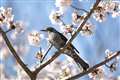 70-200 F2.8 IS U