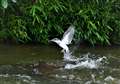 }Z~@1+sony 100-400mm GM