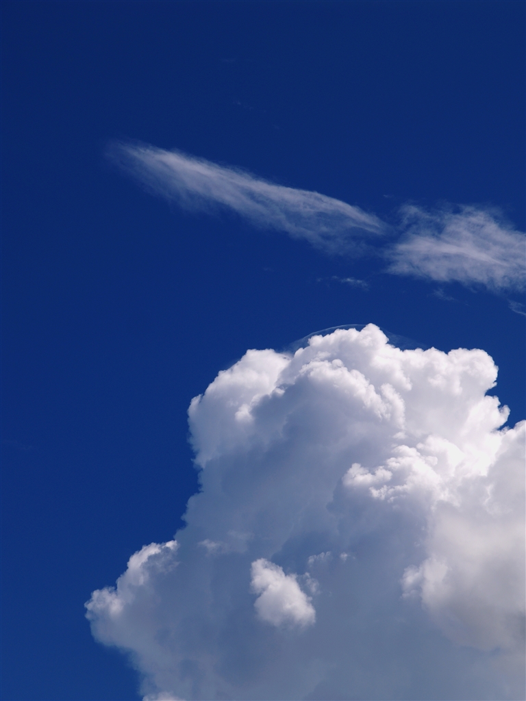 価格.com - 『コダックブルー』オリンパス E-300 レンズセット ○○X