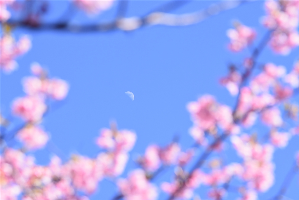  ai af micro nikkor 105mm f2 8d 