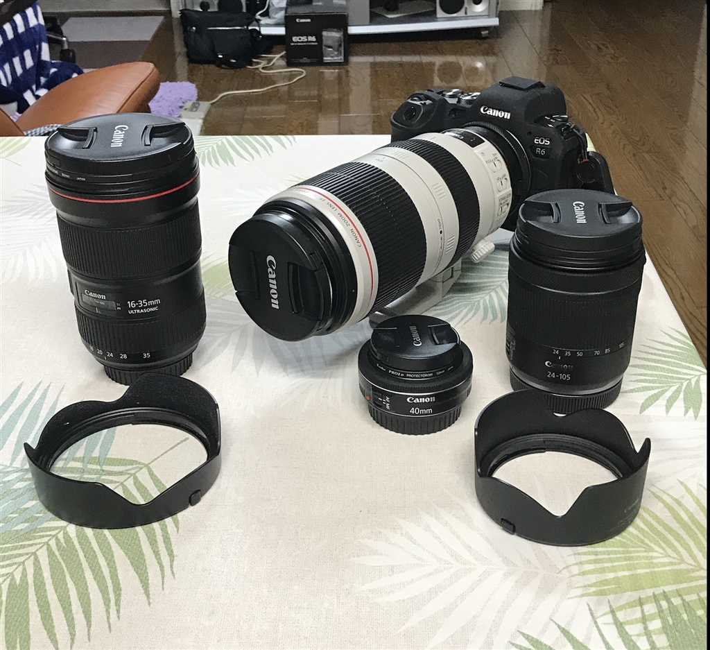 価格.com - 『R6とRFとEFレンズ』CANON EOS R6 ボディ トトロカメラ