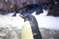 iJf5.6, ss1/320 iso8000ł̃V[vB