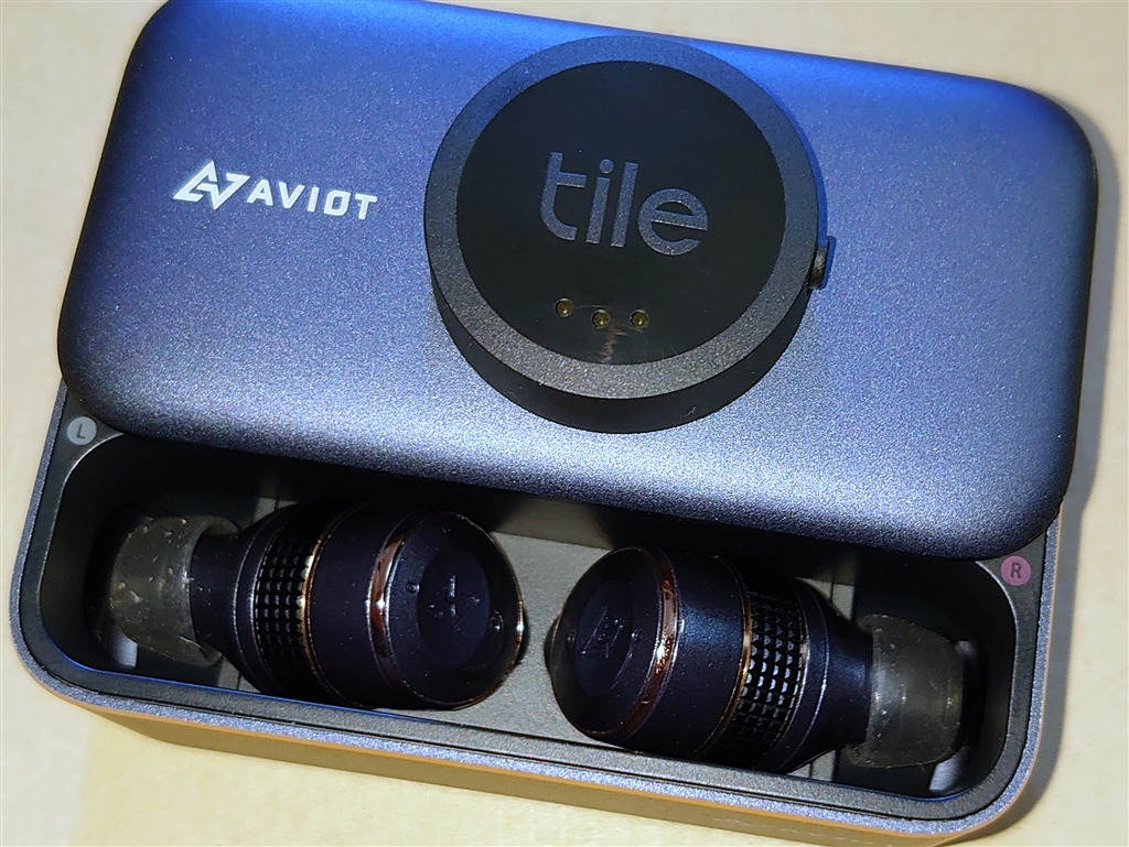 AVIOT (アビオット) トゥルーワイヤレスイヤホン ドーンブルー