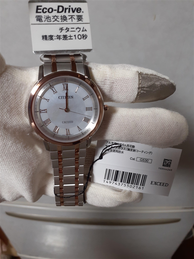 腕時計(アナログ)CITIZEN EXCEED 年差時計(G530) - www.luchtenbelt.nl