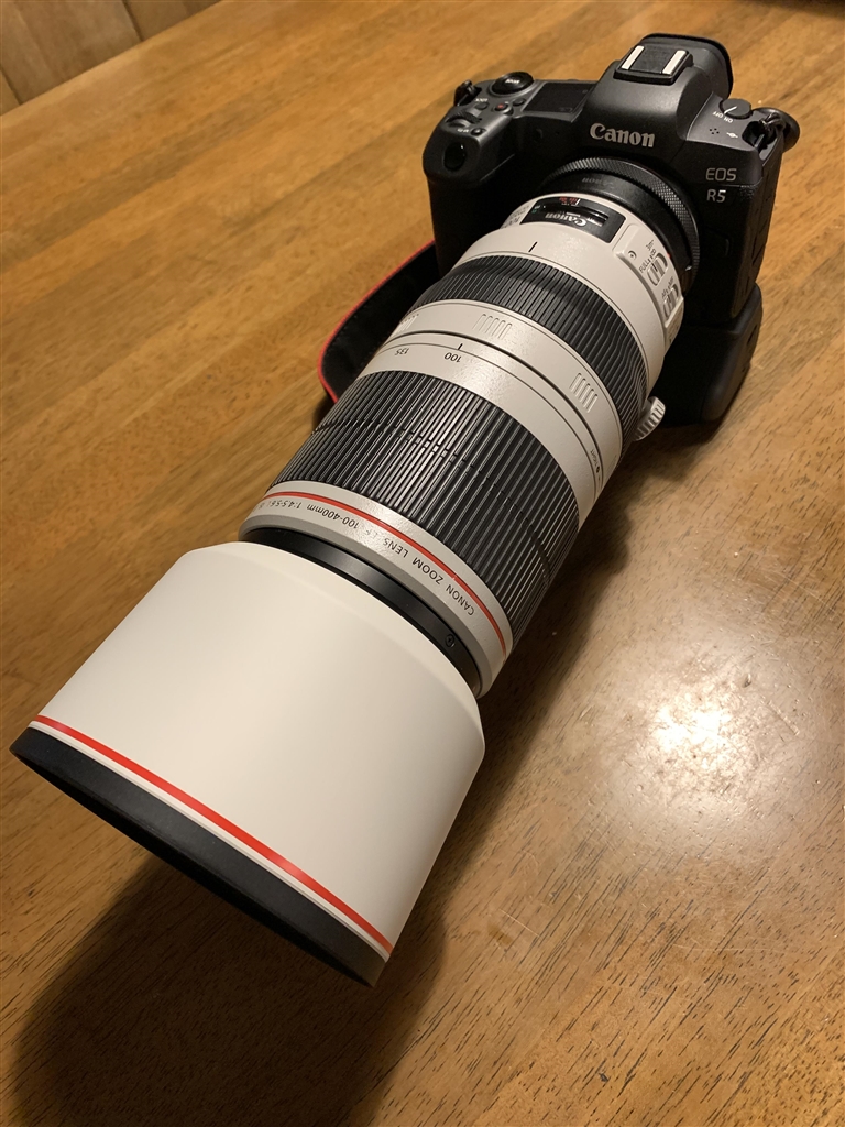 Canon 打ち砕く 望遠レンズ フード付き