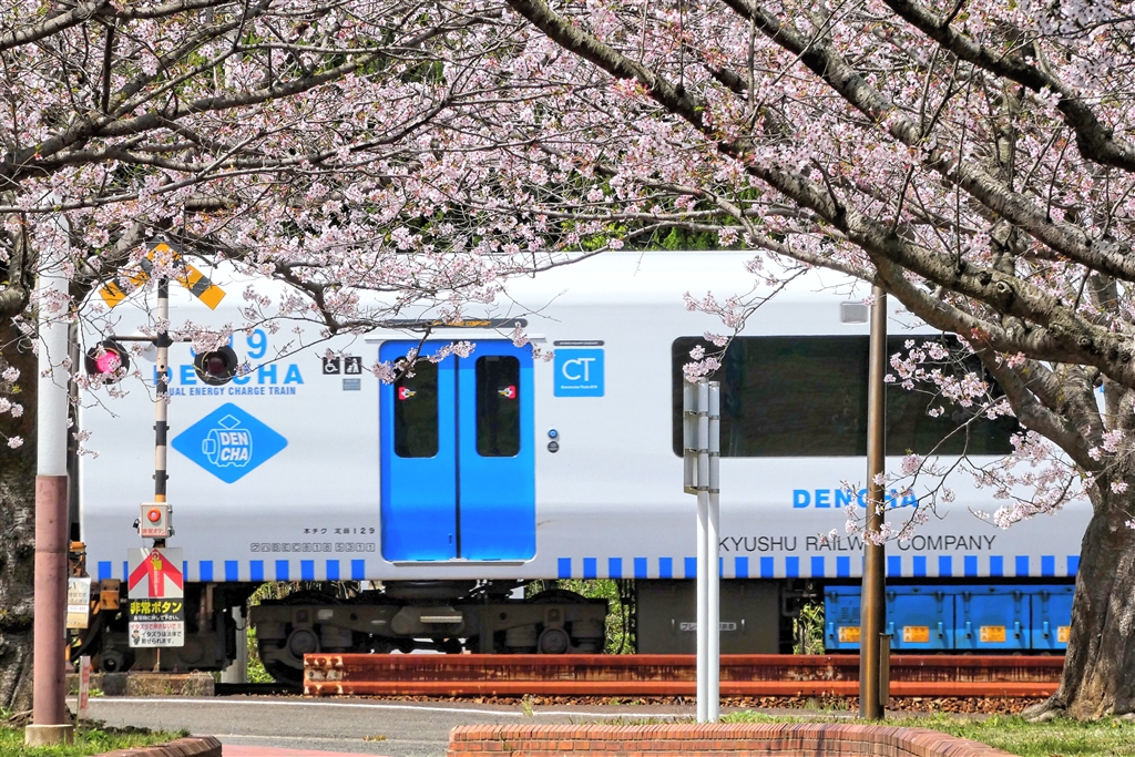 価格.com - 『鉄道と桜』パナソニック LUMIX DC-FZ85 乃木坂2022