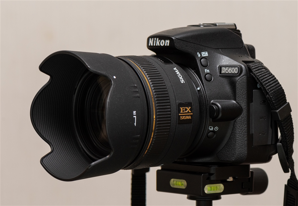価格.com - 『Nikon D5600に取り付けた画像』シグマ 30mm F1.4 EX DC 