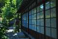 川越中院、島崎藤村の母親のために作った茶室の窓を撮影しました
