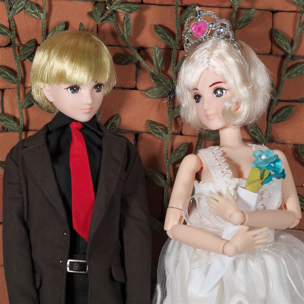 価格.com - 『女の子同士で結婚式ごっこ＊』タカラトミー リカ