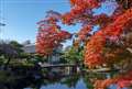 好古園にて「紅葉と日本庭園」　広角端２８mm相当