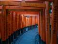 京都の伏見稲荷でのインプレッション。良い感じの画角と色と光の表現！