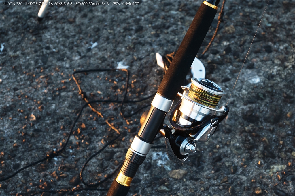 価格.com - ニコン NIKKOR Z DX 16-50mm f/3.5-6.3 VR allex 777さんの