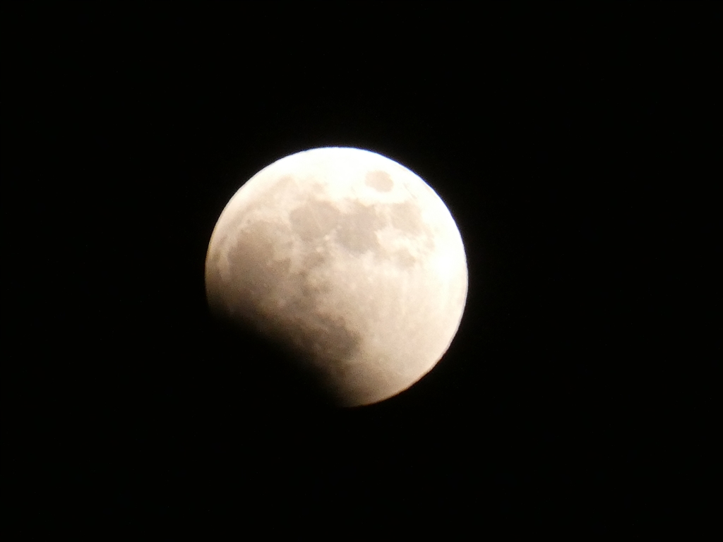 価格.com - 『TZ95』パナソニック LUMIX DC-TZ95-W [ホワイト