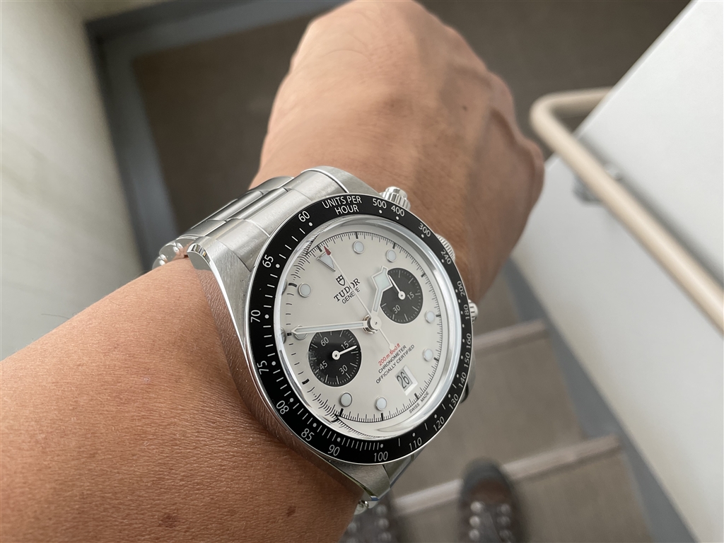 価格.com - 『昼間でも光ってる気がする夜光』チューダー ブラックベイ