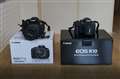 KISS X7i & R10