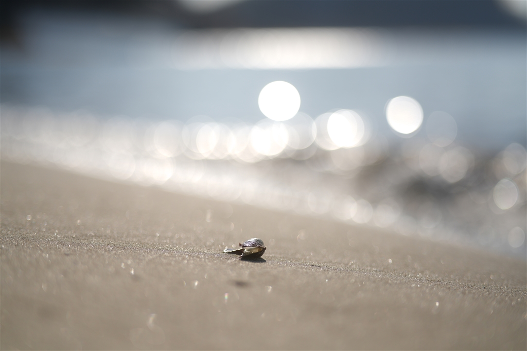  samyang af 75mm f1 8 fe 
