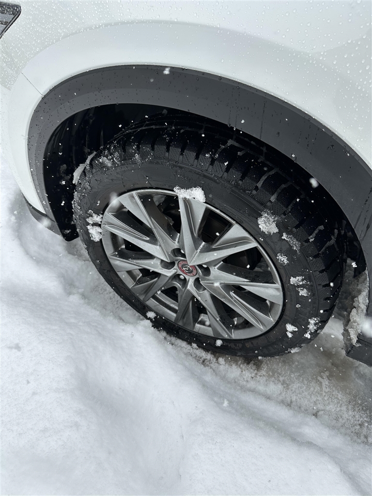 価格.com - TOYO TIRE Winter TRANPATH TX 225/55R19 99Q 再考ちゃんさんのレビュー・評価投稿画像 ...