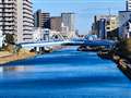 スマホで撮影。東京の川とは思えない、鮮やかな青。加工はしていない。
