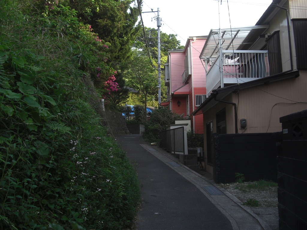 価格.com - 『四季を感じられる道こそ価値ある場所だと思う』カシオ