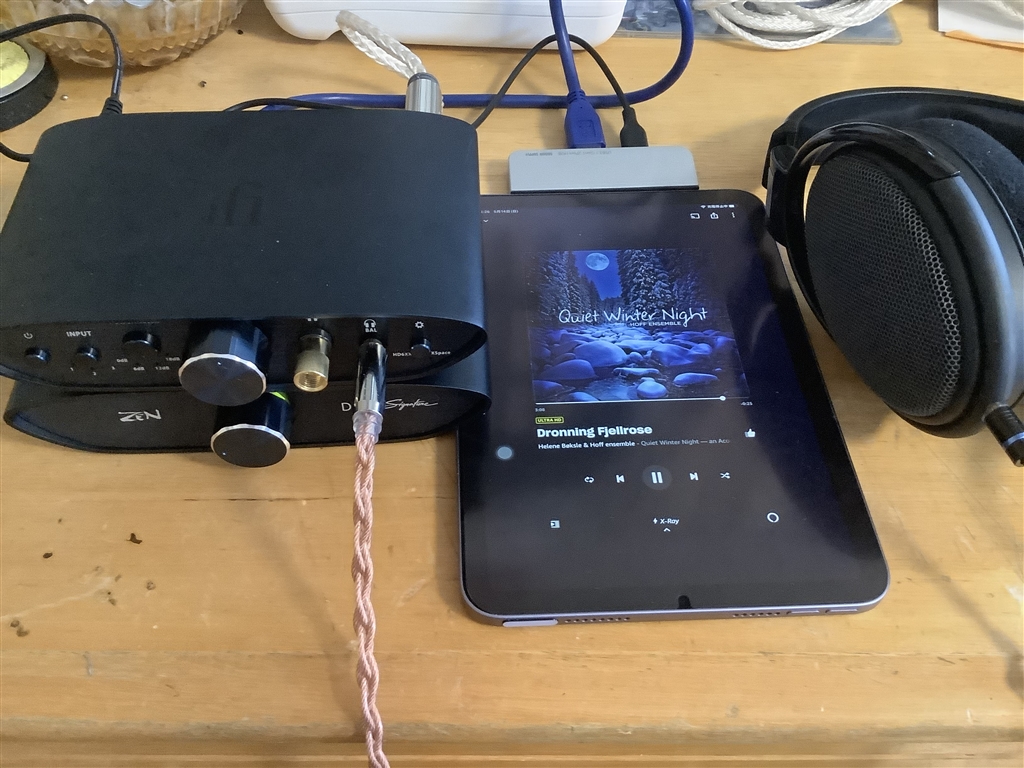 価格.com - 『CAN/DACセットで』iFi audio ZEN CAN Signature 6XX サン