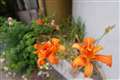 F1.8 ISO200