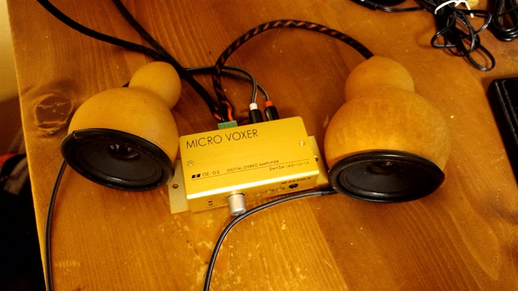 MICRO VOXER OE-D5 デジタルステレオアンプ MASSIVE マッシブ OE-D5