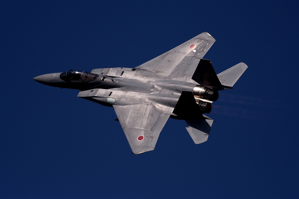 ニコン Ai AFS Nikkor 300mm f/4D IFED [ブラック] sekitoba_さんのレビュー・評価投稿画像・写真「2023年に買い戻したレンズ