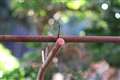 100mm F2.8 SOFTif2.8jł