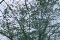 planar 50mm f1.4