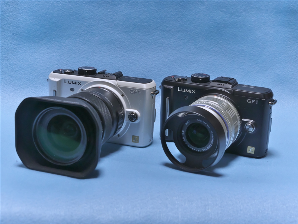 中古】パナソニック ミラーレス一眼 LUMIX DMC-GF1 ホワイト【A】