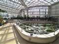 追加した超広角レンズです。植物園の温室。