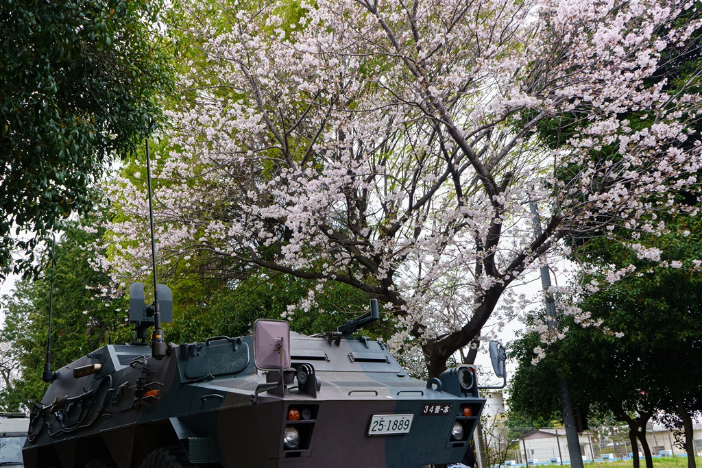  sony fe 28 70mm f3 5 5 6 oss sel2870 