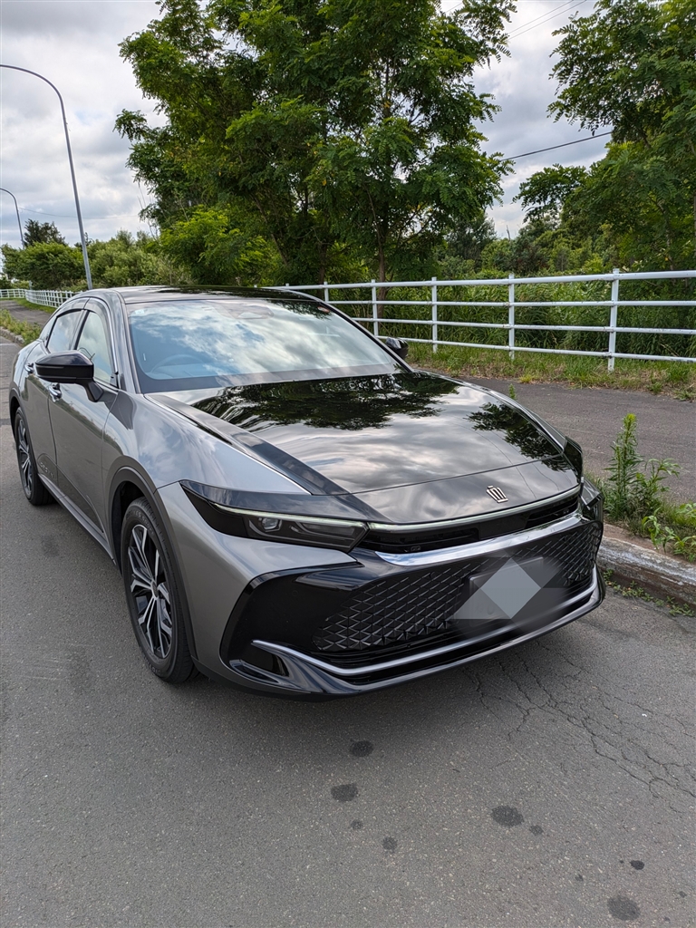 価格.com - 『プレシャスメタルバイトーン』トヨタ クラウン クロス