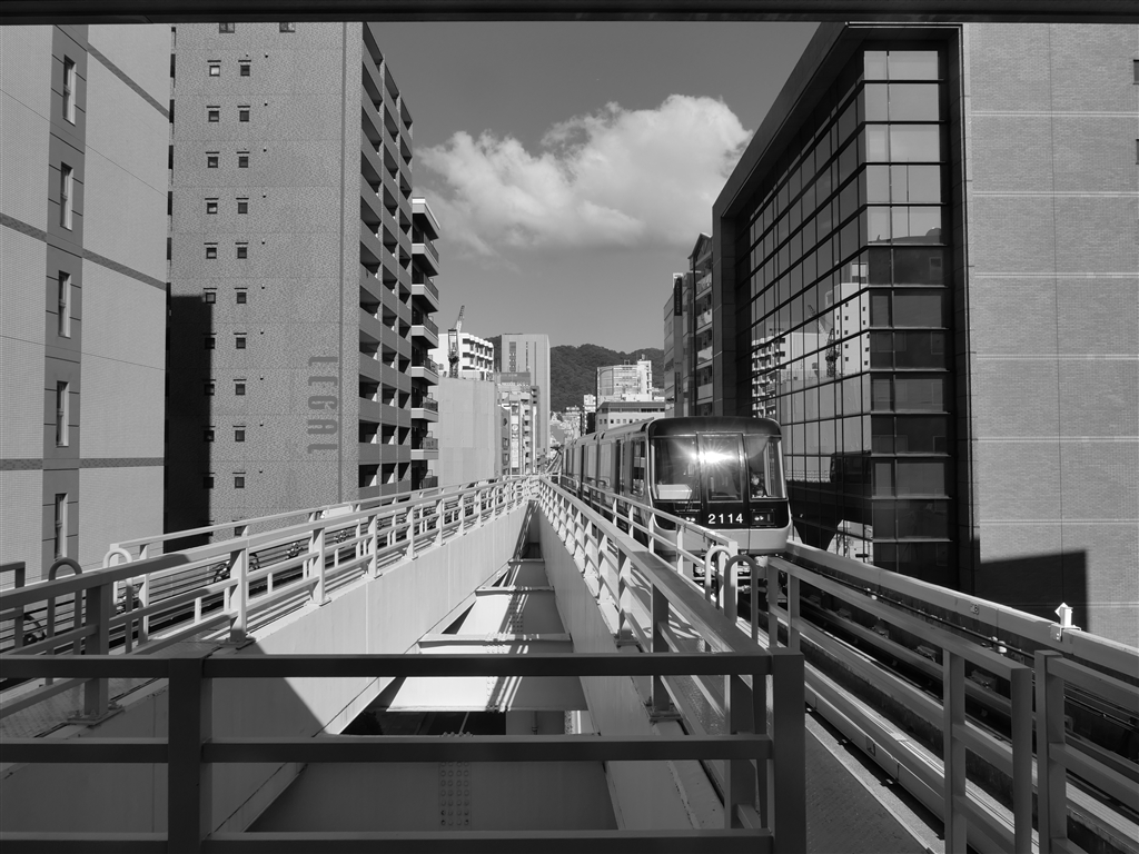 価格.com - 『神戸出張のお供に』ライカ D-LUX 8 [black] Tsukougei