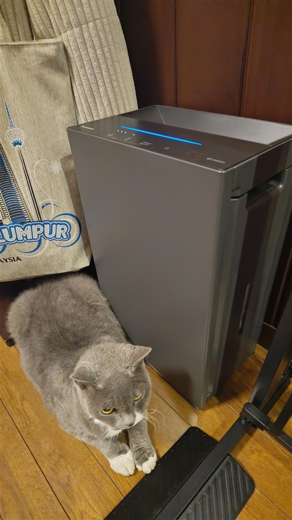 使用僅！ジアイーノ F-ML4000B-H [ダークグレー] 価格.com - 『弱では静かなので猫も寄ってきます