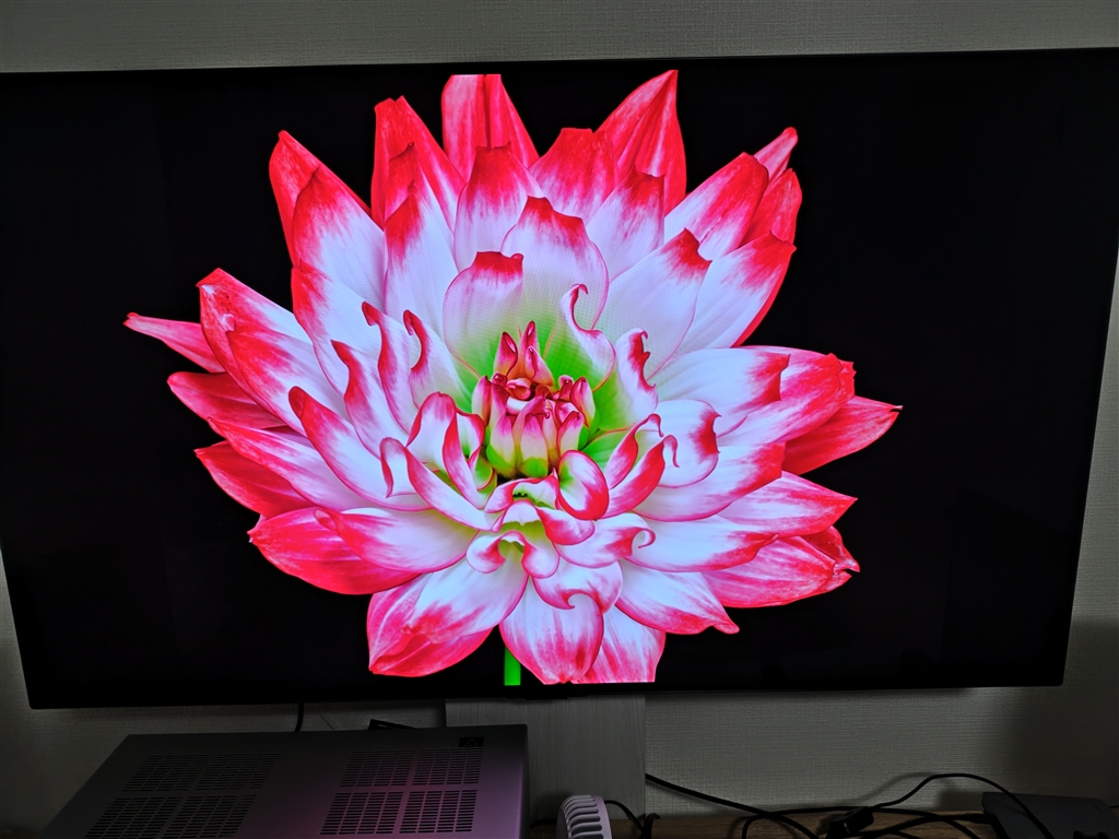 LG 有機ELテレビ　OLED48C3PJA 訳あり LG Electorinics OLED48C3PJA 有機ELテレビ 48V型 /4K対応 /BS・CS 4K