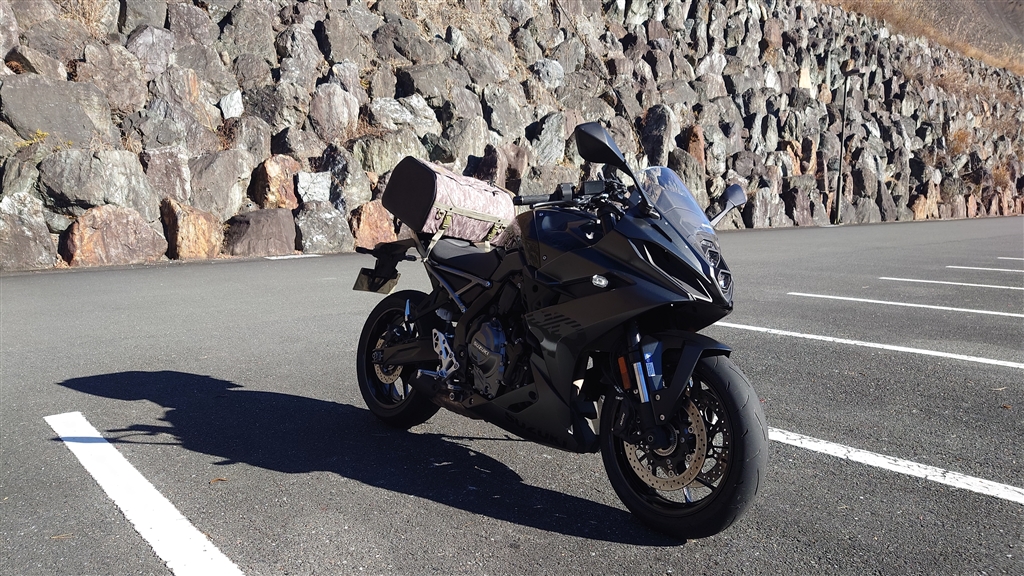 価格.com - 『タンデムシートにGoldwinのツーリングバッグをつけてい