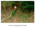 WEr^L@^150-500mm