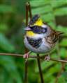 u~}zIWvZ50U+T150-500(^) Z750mm ss1/160 iso1400