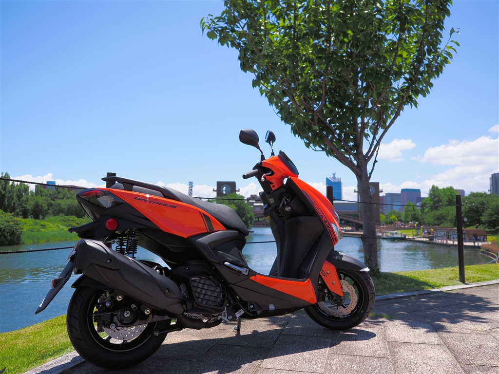 23年モデル CYGNUS GRYPHUS オレンジ 23年モデル CYGNUS GRYPHUS