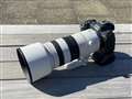 EOS R6 Mark IIɑԁB