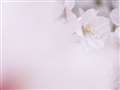 1/200s f6.3 ISO80 47.5mm AF:Macro
