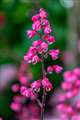 f2.8 -0.3ev 1/80 ISO 800