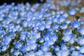 Y@XF56mm F1.2 APD