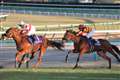 2024/12/LnLO@SS 1/250 iF8炢@