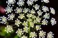 f4 -0.3ev 1/100 ISO200