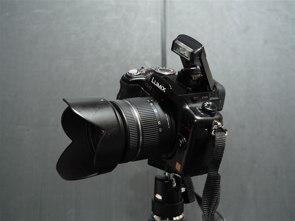 Panasonic LUMIX デジタル一眼レフ 本体 ストロボセット Panasonic
