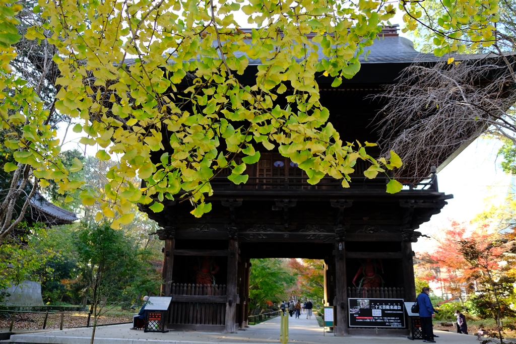 価格.com - 『九品仏』富士フイルム フジノンレンズ XF18-55mmF2.8-4 R