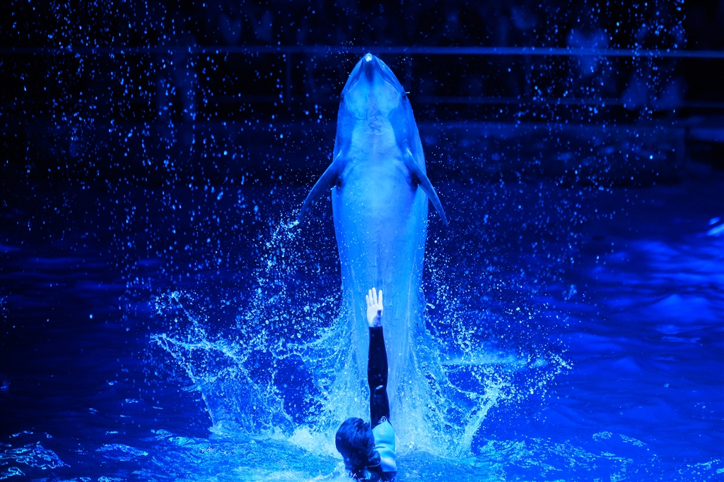 価格.com - ニコン AF-S NIKKOR 200mm f/2G ED VR II らまにさんの