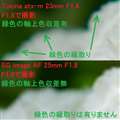 Tokina と SG-image の軸上色収差の比較
